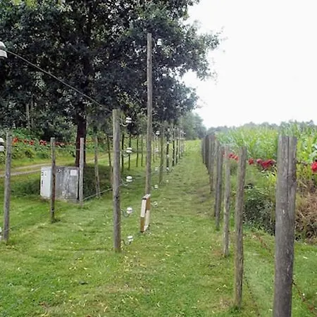 La Petite Fleur Baarle-Nassau
