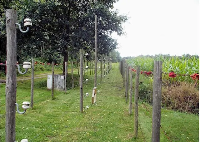 La Petite Fleur Baarle-Nassau